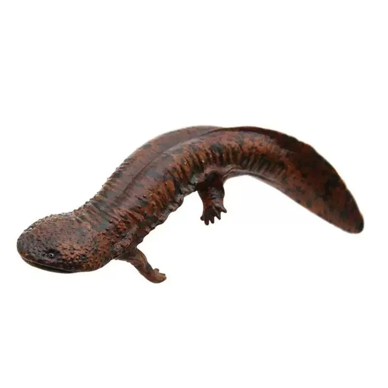 الحيوانات الطبيعية Gashapon لطيف الأصالة علم الأحياء مصغرة نموذج زخرفة صغيرة عمل نموذج لجسم اللعب الهدايا