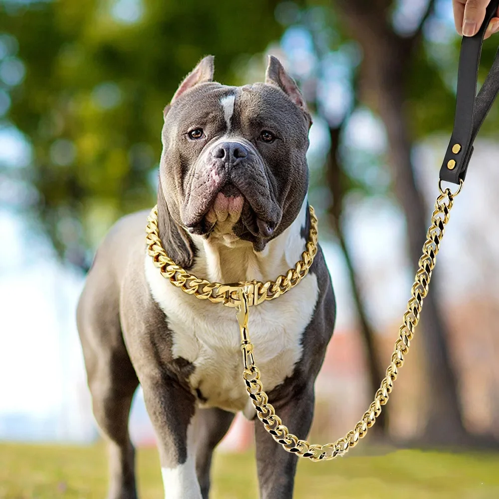 Strong Metal Dog Chain Collars Stainless Steel Pet Training Choke Collar For Large Dogs Pitbull Bulldog Silver Gold Show Collar