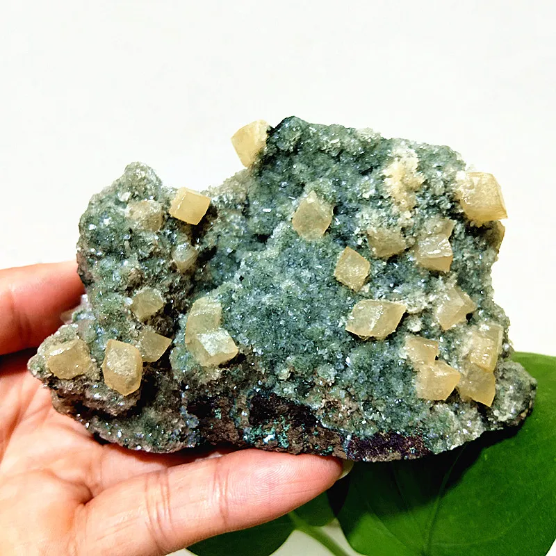 Natural Stone Raw Minerals Apophyllite Shining Crystals Samples And Fluorite Symbiont Beautiful Gemstones Room Decoration