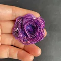 Púrpura