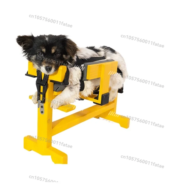 

Pet Table Dog Baoding Frame Cat Binding Grid Frame Fixed Stool Solid Wood Console