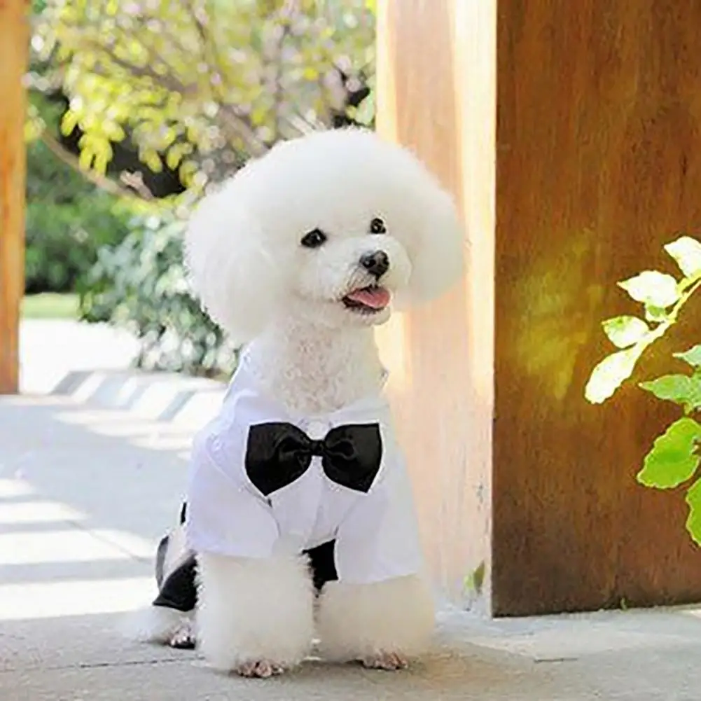 Funny Pet Clothes Eye-catching Soft to Wear Good Texture Stylish Pet Clothes