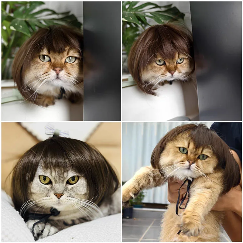 Cat Wig Accessories Dog Headdress Funny Costume Puppy Cosplay Dress Up Cute Pets Hair Set Funny Props Head Accessories