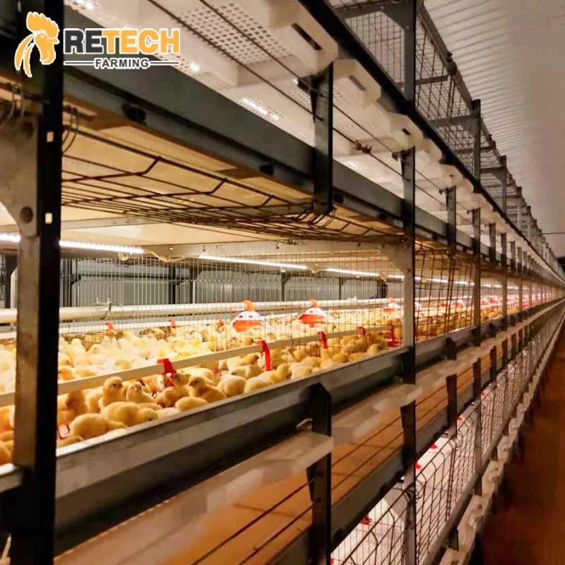 

Высококачественные автоматические клетки для цыплят-бройлеров типа H, птицеферма