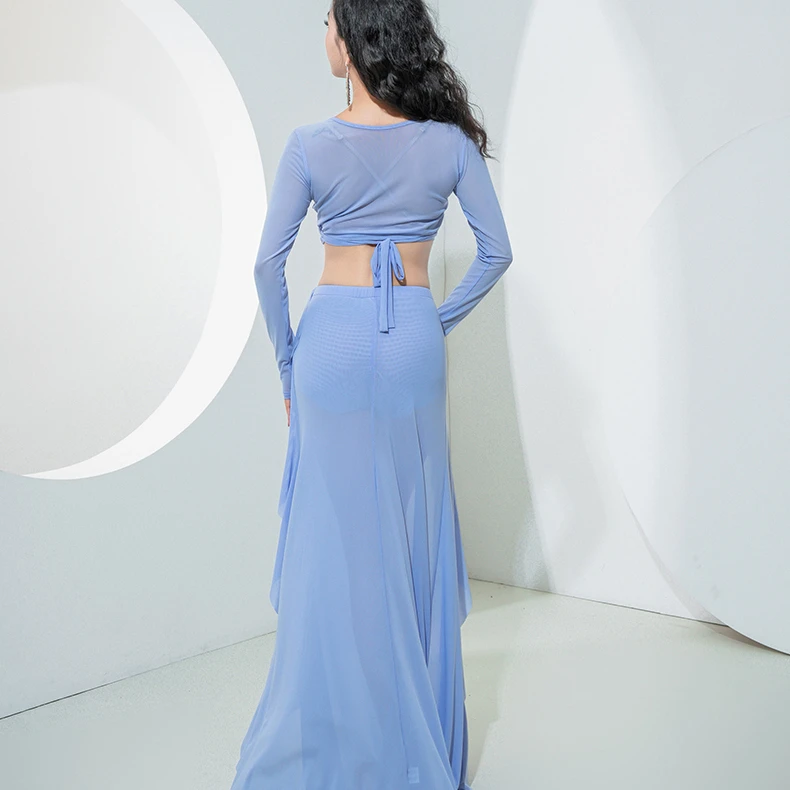 Costume de danse du ventre pour femmes, ensemble à manches longues, haut en maille + jupe, 2 pièces, Costume d'entraînement, vêtements de groupe Oriental, tenue de danse du ventre