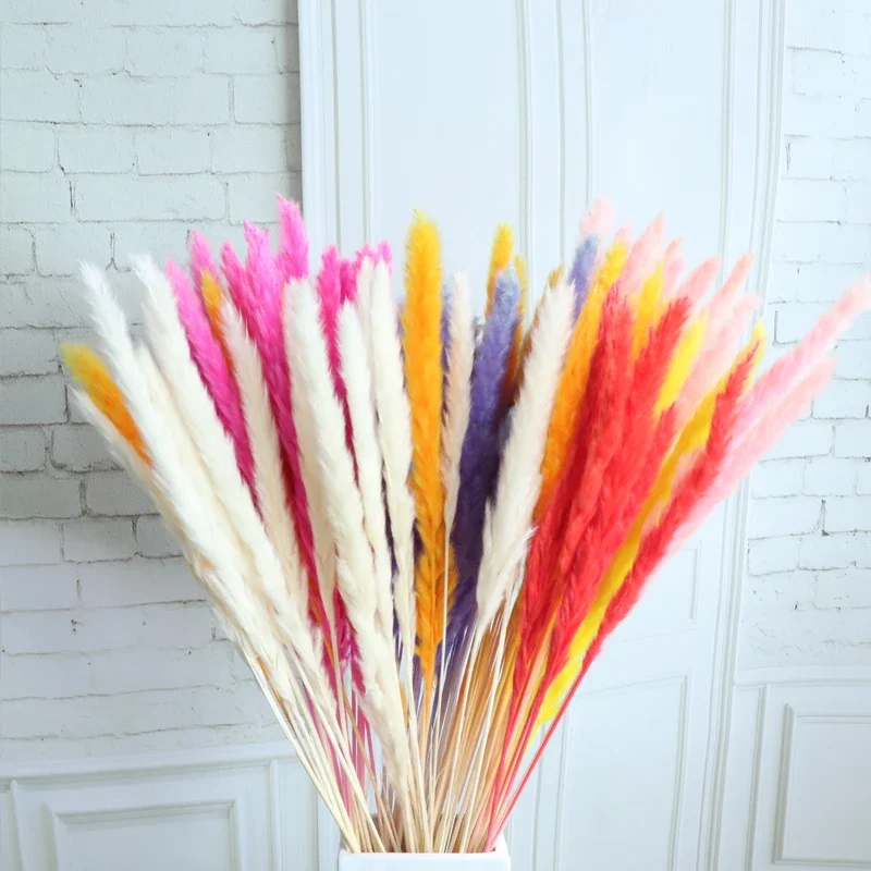 Superior Quality Wholesale Natural Diy Flower Small Pampas Grass For Wedding Wall Decoration Home Arrangement Office Decor