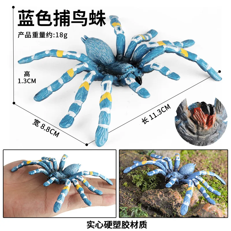 43 أنواع من نماذج الحيوانات والحشرات على شكل فراشة النحل اليعسوب السرعوف النمل الحلزون شخصيات الحركة مجموعة جويت ديكور لعبة تعليمية للأطفال