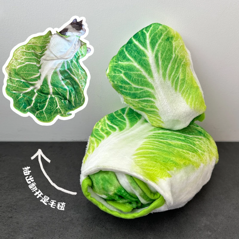 

New Models Flannel Blanket Watermelon Blanket Omelette Chinese Cabbage Blanket Baby Adult Warm Throw Quilt