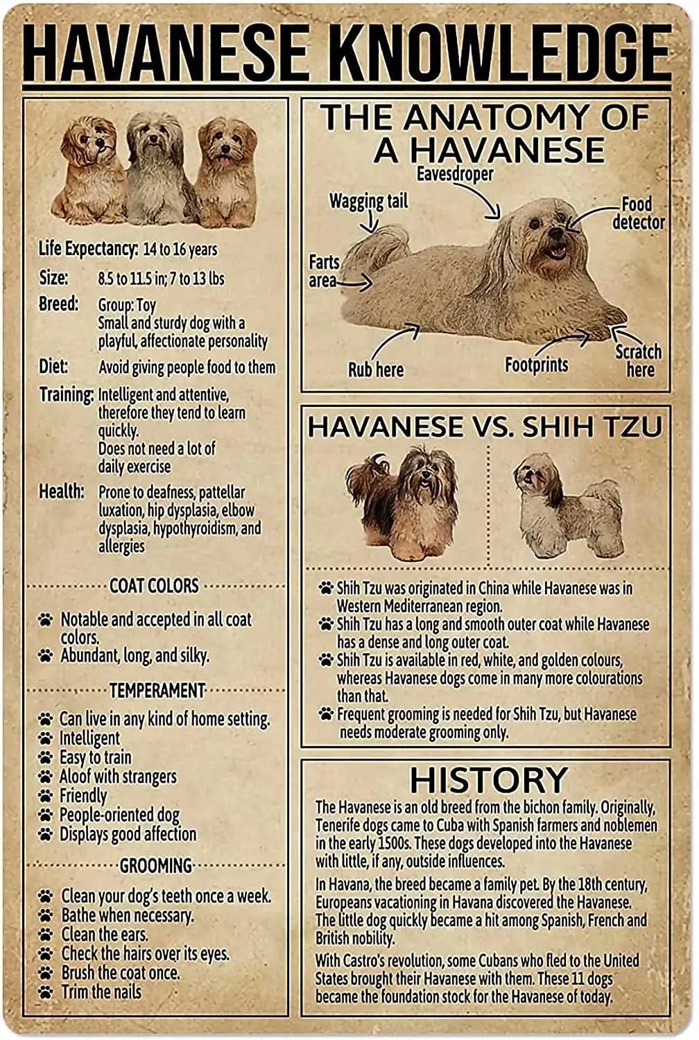 Affiche métallique « La Connaissance du Havanais » : L'anatomie d'un Havanais – Plaque en métal pour l'école, la animalerie, le café, la chambre, la salle de bain, la cuisine, la maison, l'art