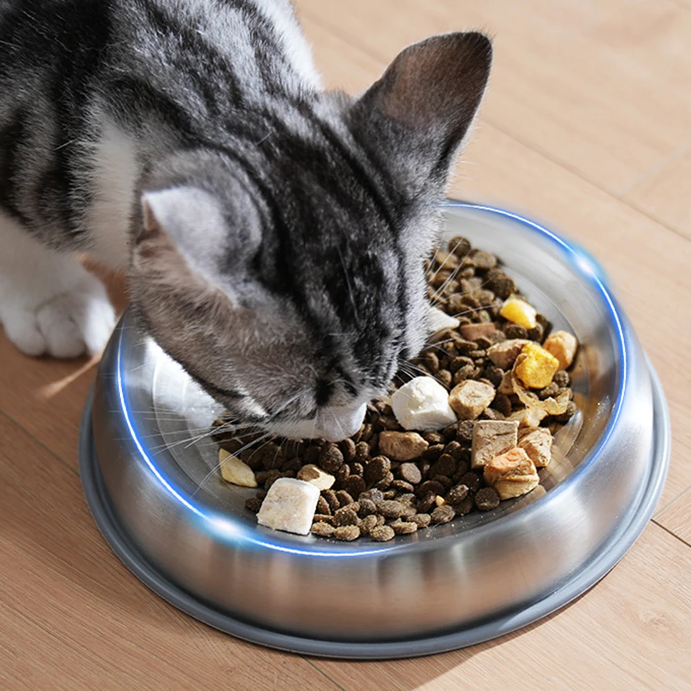 

1pcs Dog Bowl With Anti-slip Silicone Mat Stainless Steel Dog Food Water Bowl Pet Supplies For Dogs Puppy Cat Kitten