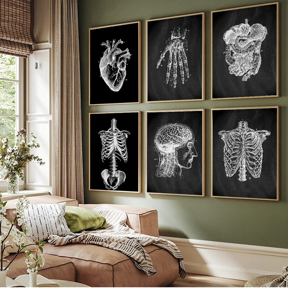 Anatomical Skeleton Classic Movie Posters Vintage Room Bar Cafe Decor Stickers Wall Painting