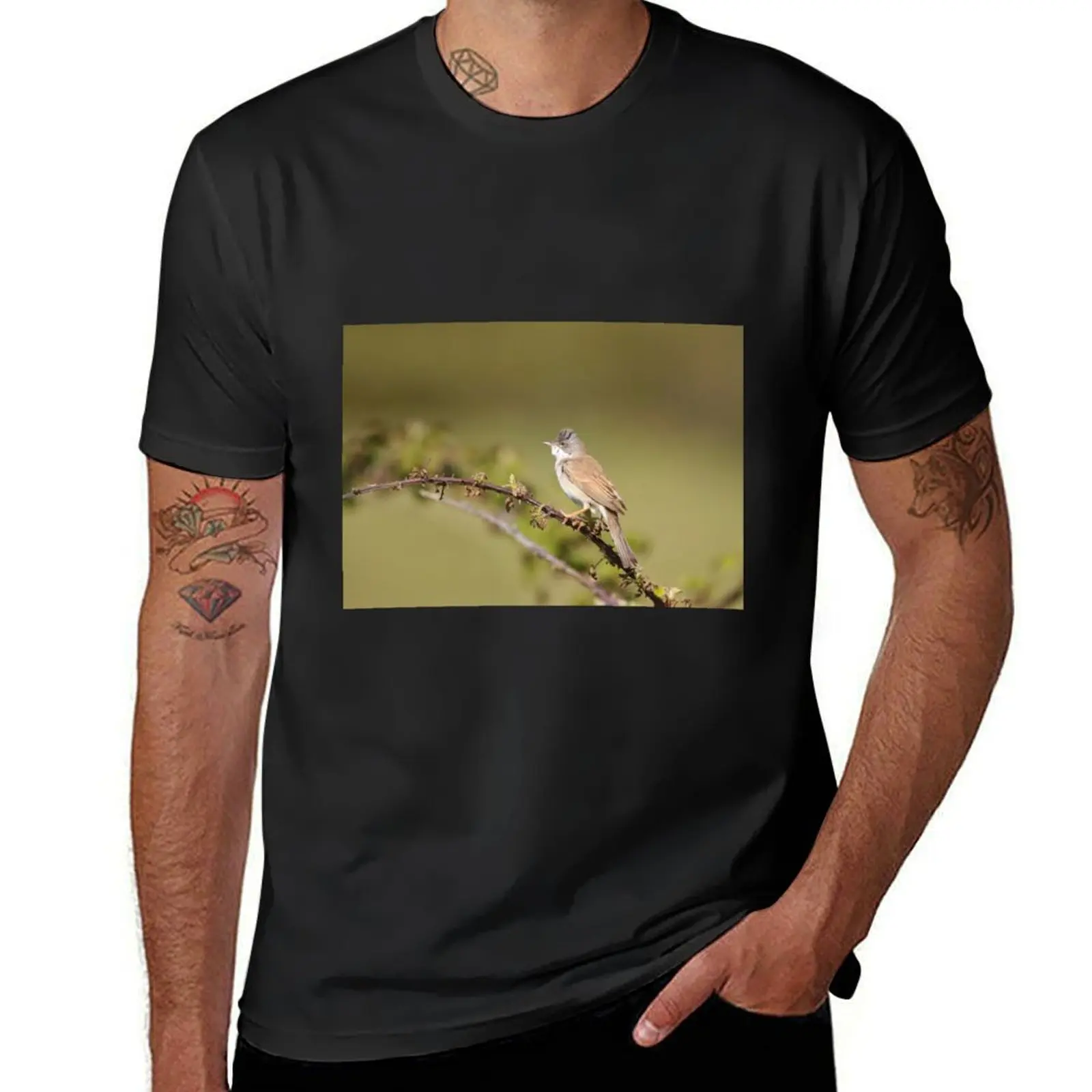 Wandering whitethroat T-Shirt shirts graphic tees summer top t shirts for men pack