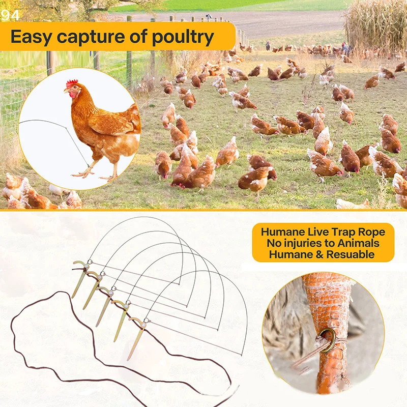 Birds’ Feet-Friendly Wire Fittings: Twist Knot, 5PCS Stainless Steel Package