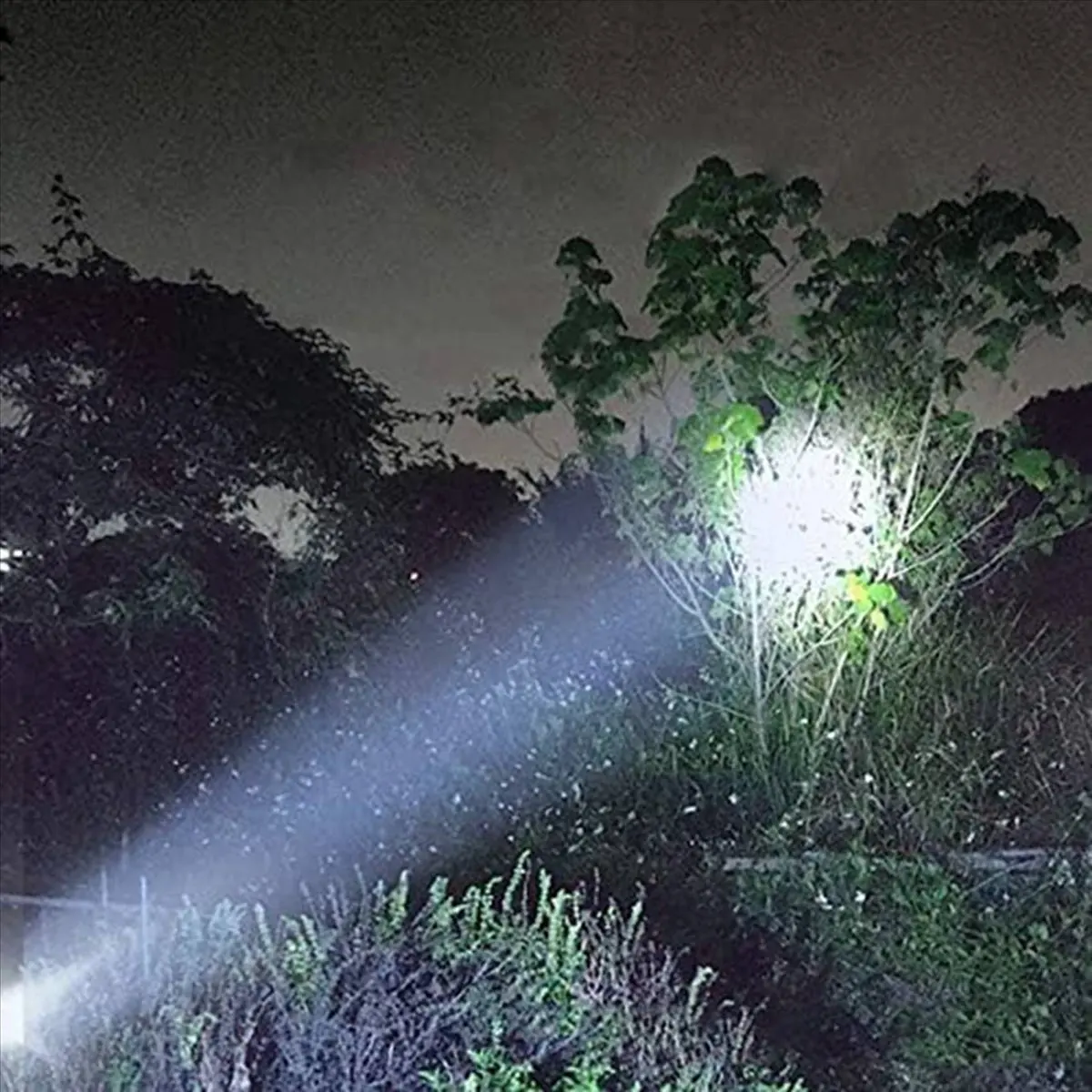 Carefree- 2X Solar/Rechargeable Multi Function LED Flashlight,Waterproof,with Emergency Strobe Light,USB Charging Cable