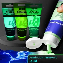 Pigmento fluorescente de 100g, pintura de larga duración, pinturas luminosas que brillan automáticamente en la oscuridad, pinturas acrílicas para obras de arte DIY, suministros para fiestas