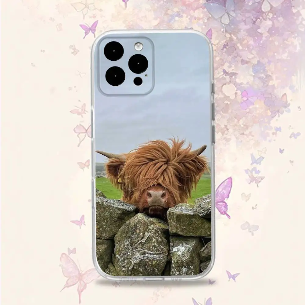 C-Cow FurryS H-HighlandS Handyhülle für iPhone 11,12,15,16,17,13,14,Pro,Max,Plus,E,Mini,Air,SE4 Weiche TPU-Rückseite mit transparenter Rückseite