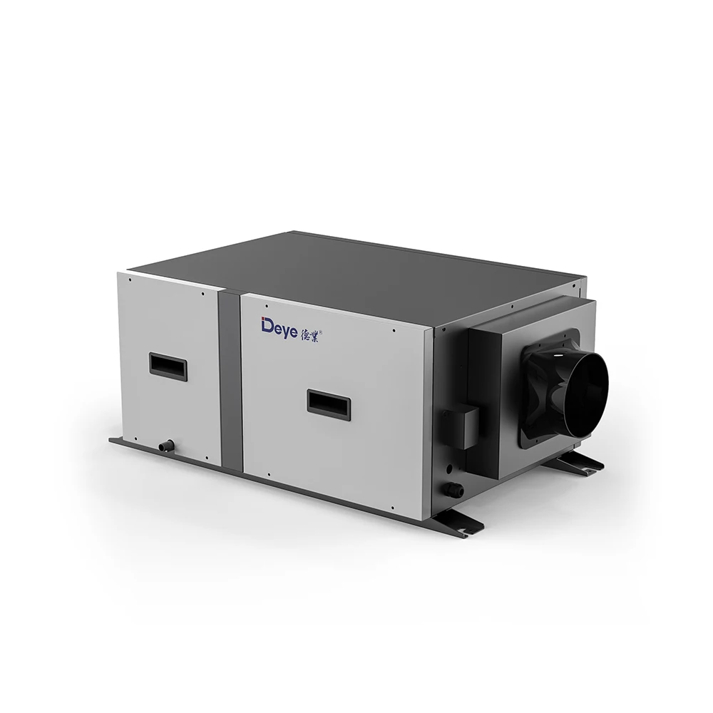 

DY-C50DZ 50L Portable Intelligent Control Household air Purifier Ceiling Dehumidifier for Home