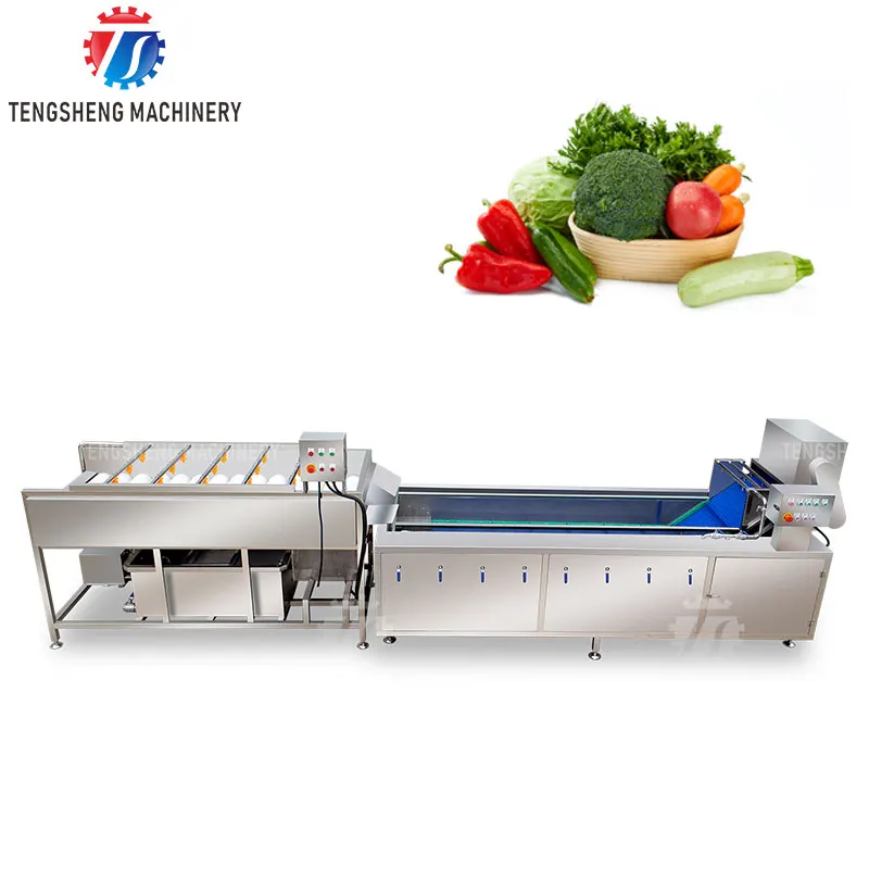 Brush Roller Roots Vegetable Washer Fruit Vegetable Potato Cassava Brush Cleaning Washing Equipment Peeling Machine