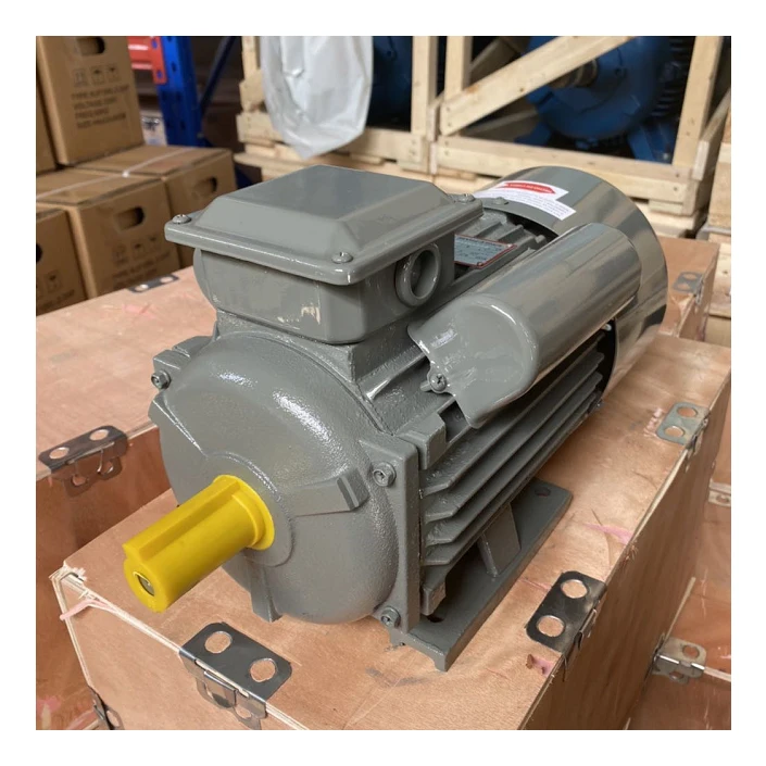 

YC YCL 1HP 2HP 3HP 5.5HP 10HP AC Single Phase Electric Motors 110/220V ,220-440V Motor Monofasico , Monophase Motor