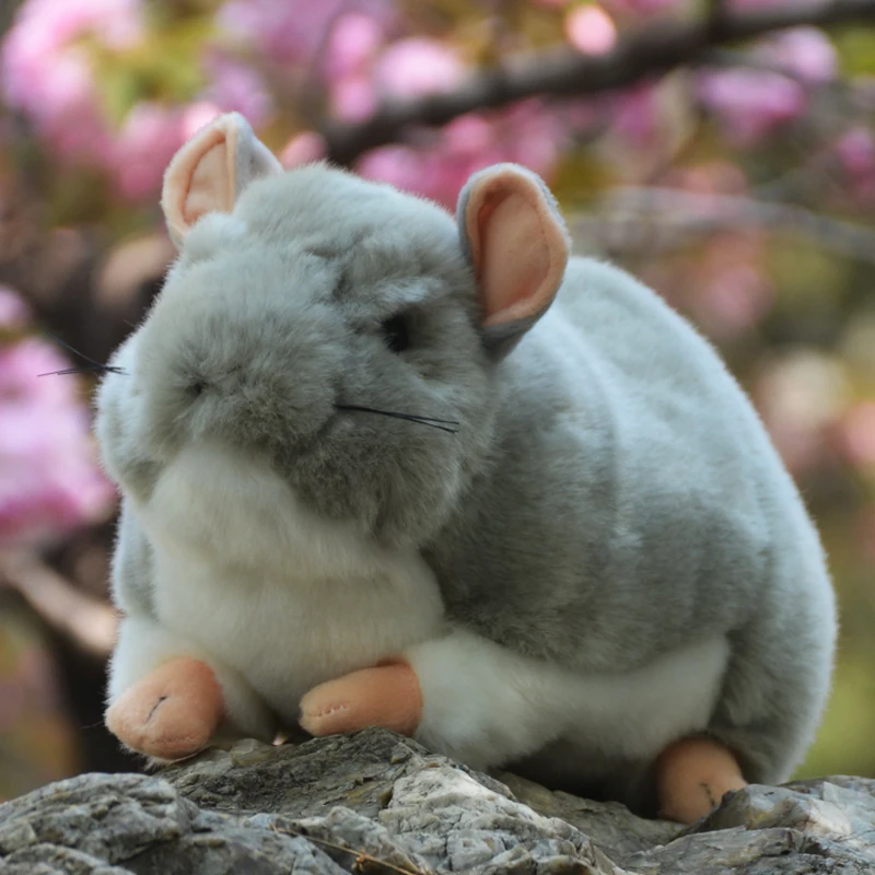 Realistische Hamster High Fidelity niedlichen Plüsch tier Chinchilla Plüschtiere lebensechte Tiere Simulation ausgestopfte Puppe Kawai Spielzeug Geschenke Kinder