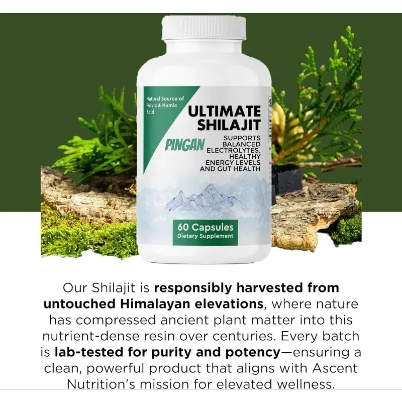 

Shilajit Supplements Contain Humic Acid and Humic Acid - Supporting Electrolytes, Energy, and Intestinal Health | 60 Capsules
