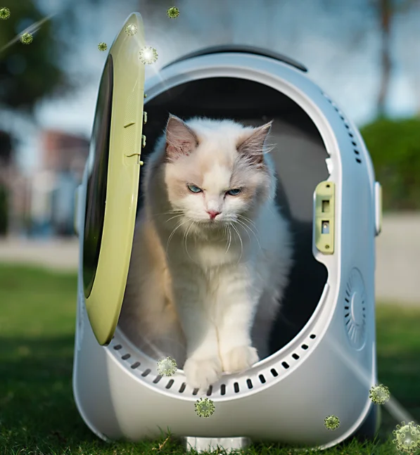 Hot Selling  Expandable Transparent Bubble Space Capsule Pet Cat Carrier on wheels Backpack Pet Travel Carrier Bag