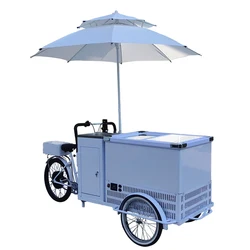 Carrello per gelato Mobile all'aperto con congelatore congelatore alimentato a batteria Hot Dog Coffee Pizza Retail Mobile Mall Kiosk