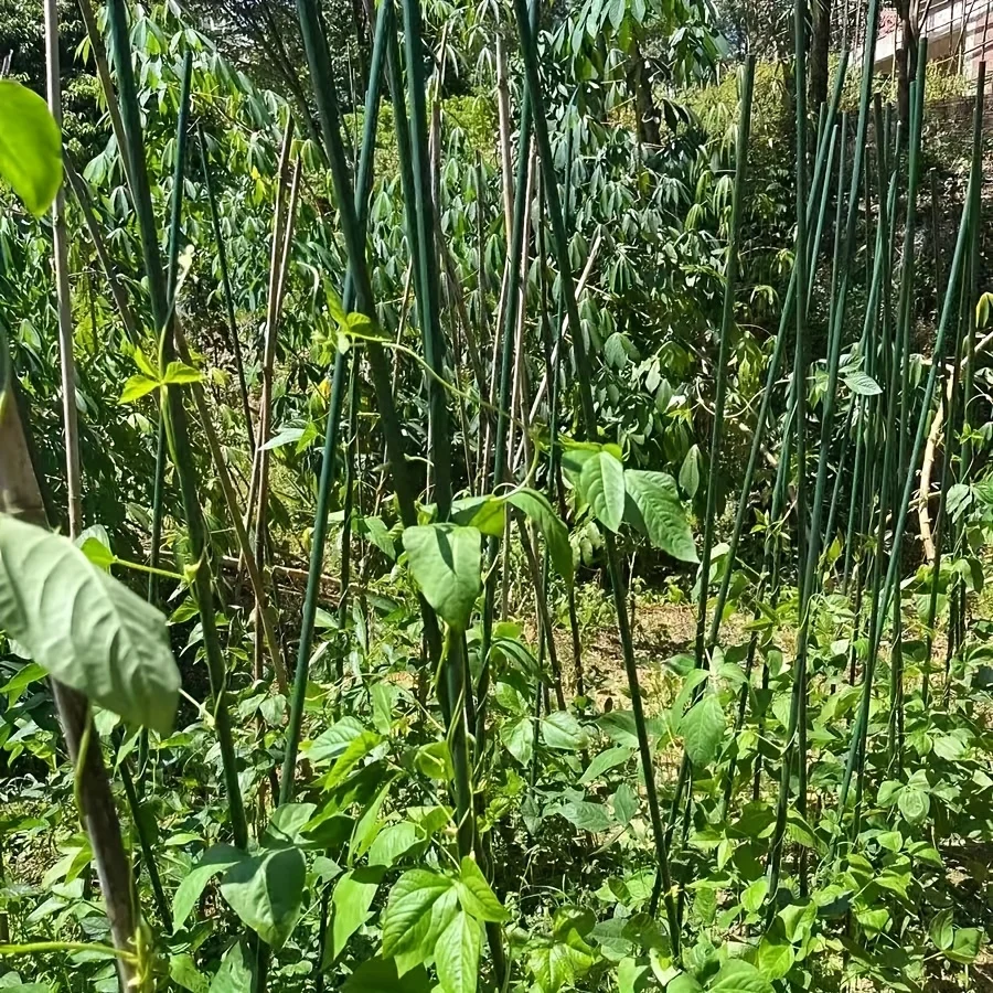 10pc Durable Garden Support Stakes,corrosion-resistant and Easy To Insert,Suitable for All Kinds of Plants Fruits and Vegetables