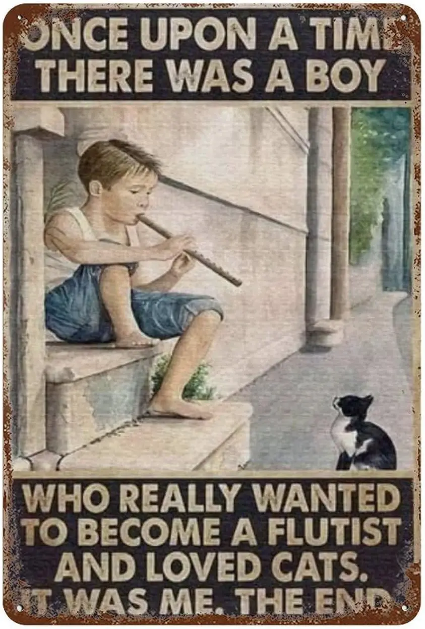 Metal Tin Sign Once Upon A Time There Was A Boy Who Really Wanted To Become A Flutist And Vintage Decor For Home Bar Room D sign