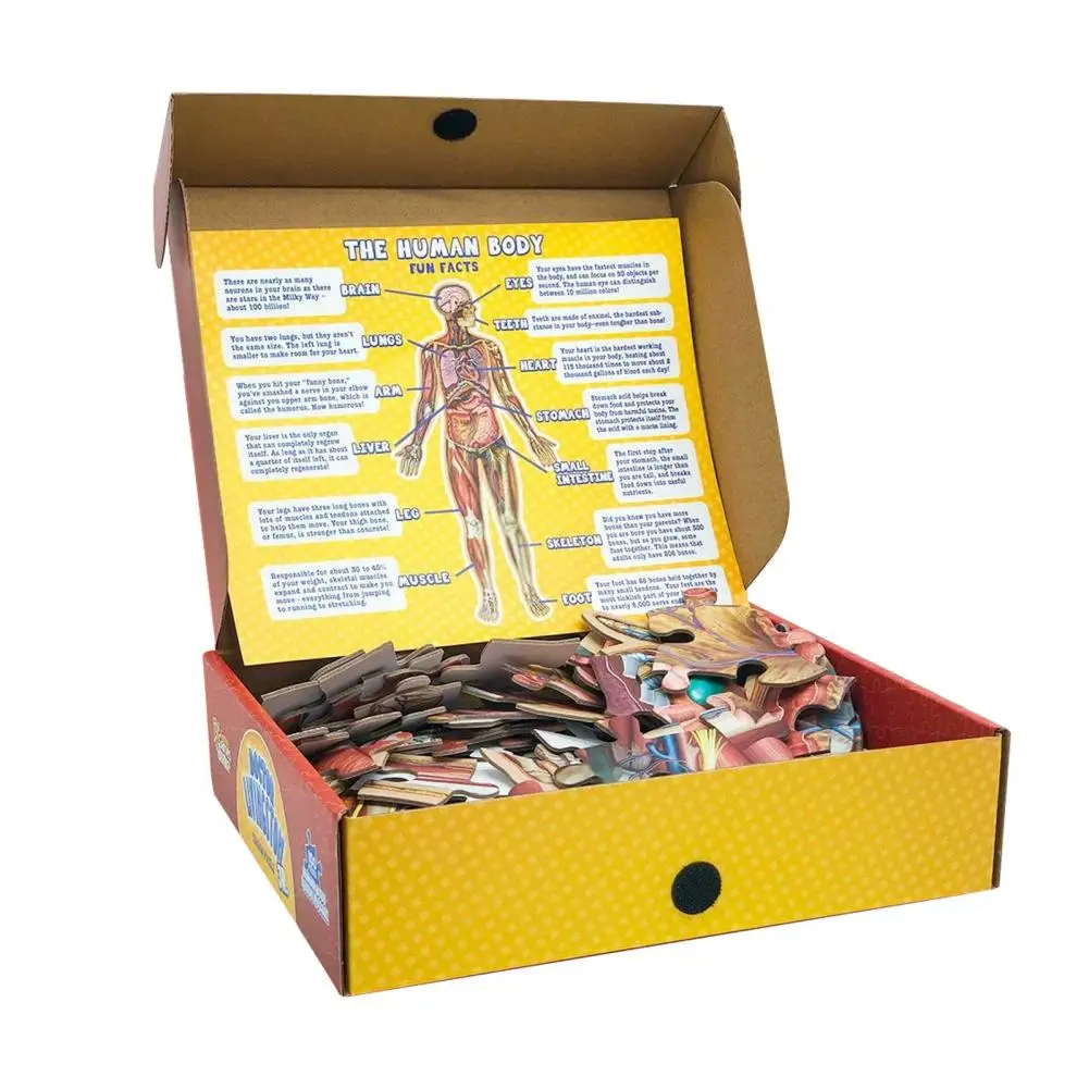 Puzzlespiel für menschliche Anatomie, pädagogisches Puzzleset für menschliche Anatomie für Kinder, 100-teiliges Bodenpuzzlespiel, medizinisch für Kleinkinder