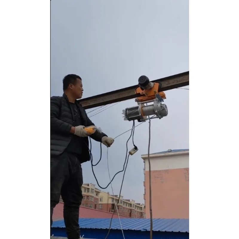 

220 Volt 200-500kg Portable Series Electric Overhead Small Crane Electric Hoist for Lifting