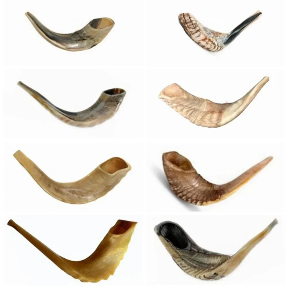 Authentic Jewish Rams Horn Shofar - Small Size with Beautiful Natural Horn Texture for Rosh Hashana Decorations