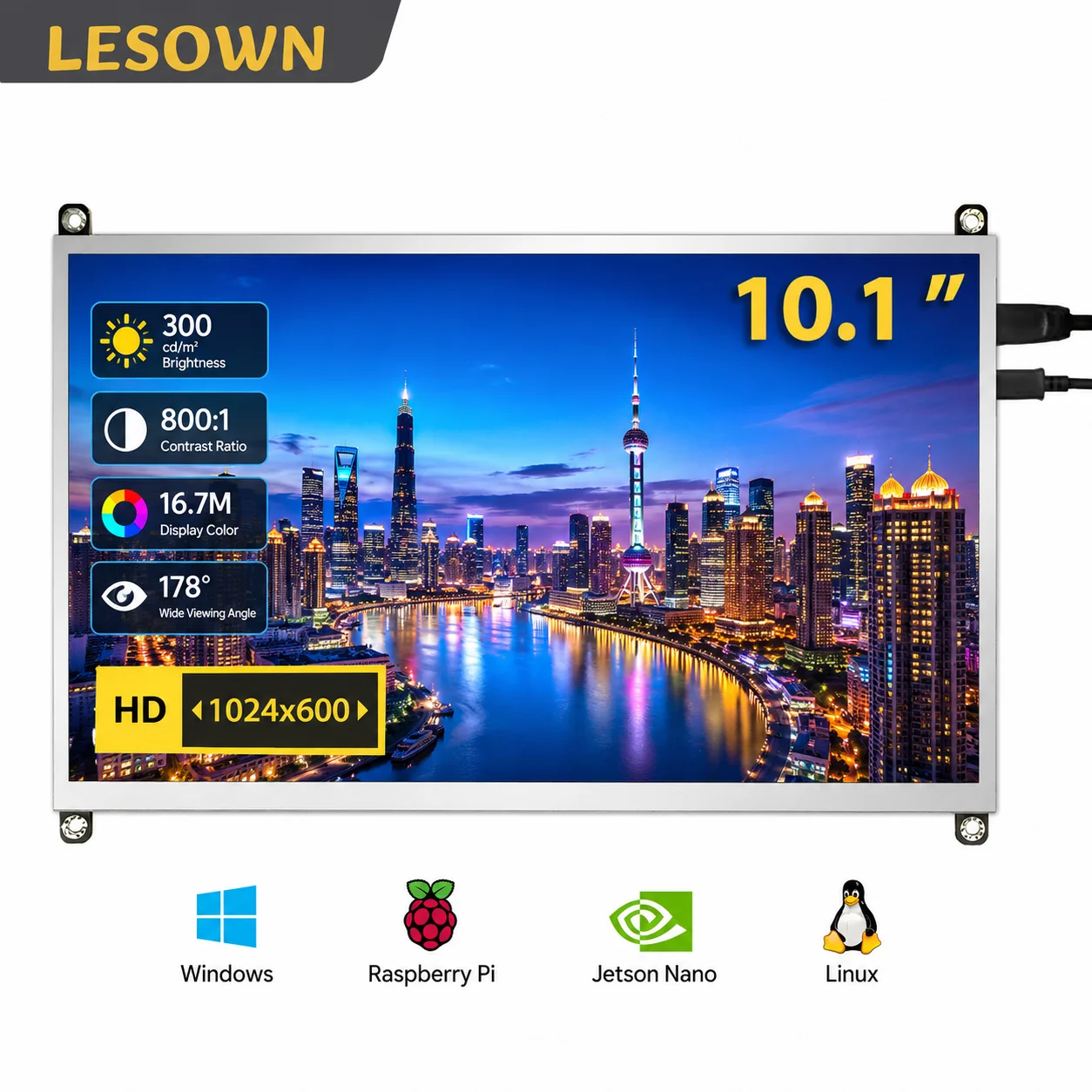 LESOWN 10.1 inch IPS Integrated Display Module HDTV No Driver Plug and Play for DIY Project Monitor