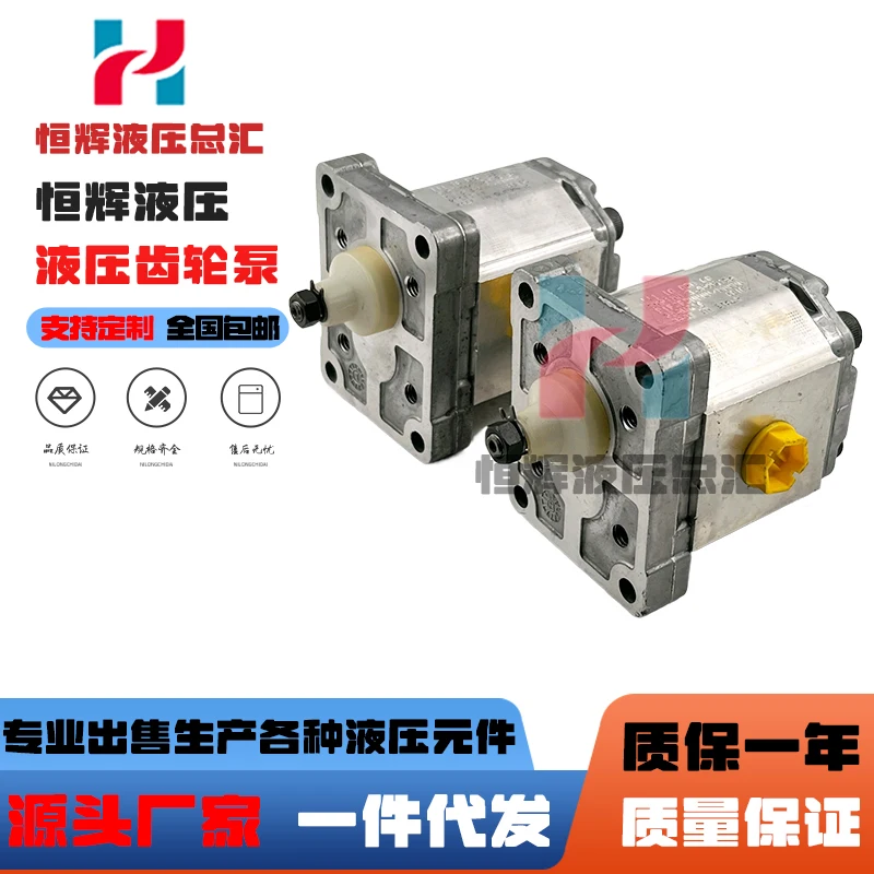 High pressure oil pump gear pump SNP1/2.2DC001F SNP1NN/3.8 hydraulic pump SNP2 SNP3