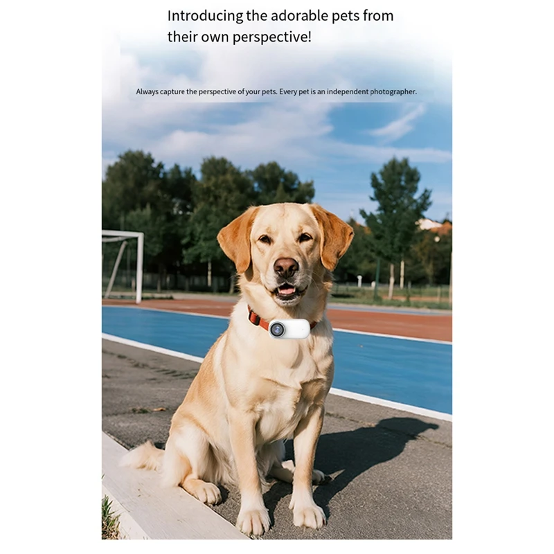 

Wi-Fi 4K Мини-камера для большого пальца Спорт на открытом воздухе Мониторинг домашних животных Широкоугольный объектив для велосипедов Мотоциклы-Шлем Кошка Собака 128G-ELEC