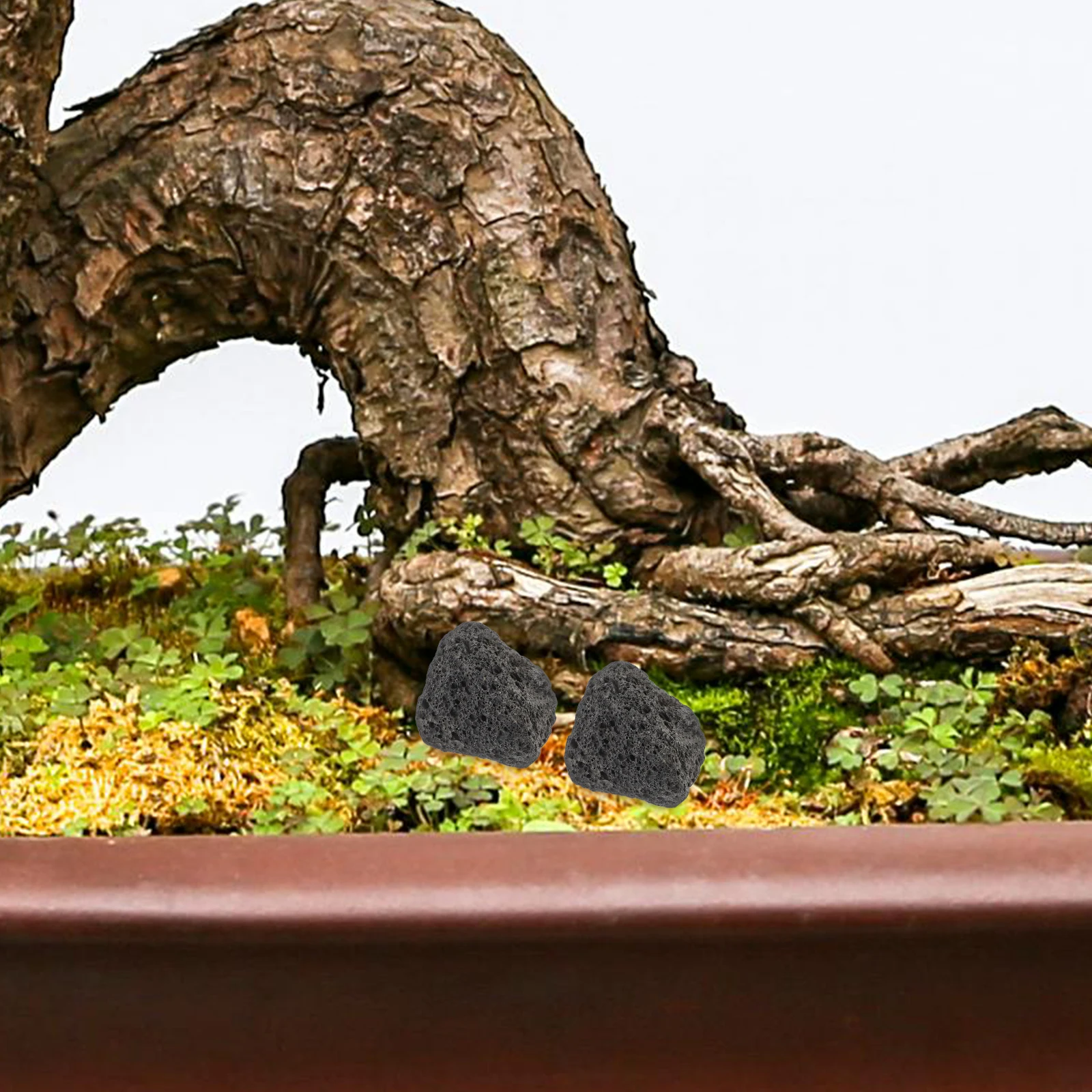 

Natural Volcanic Decorative Rocks For Fish Tank Landscaping Aquarium Plant Pot Decoration Volcanic Stones For