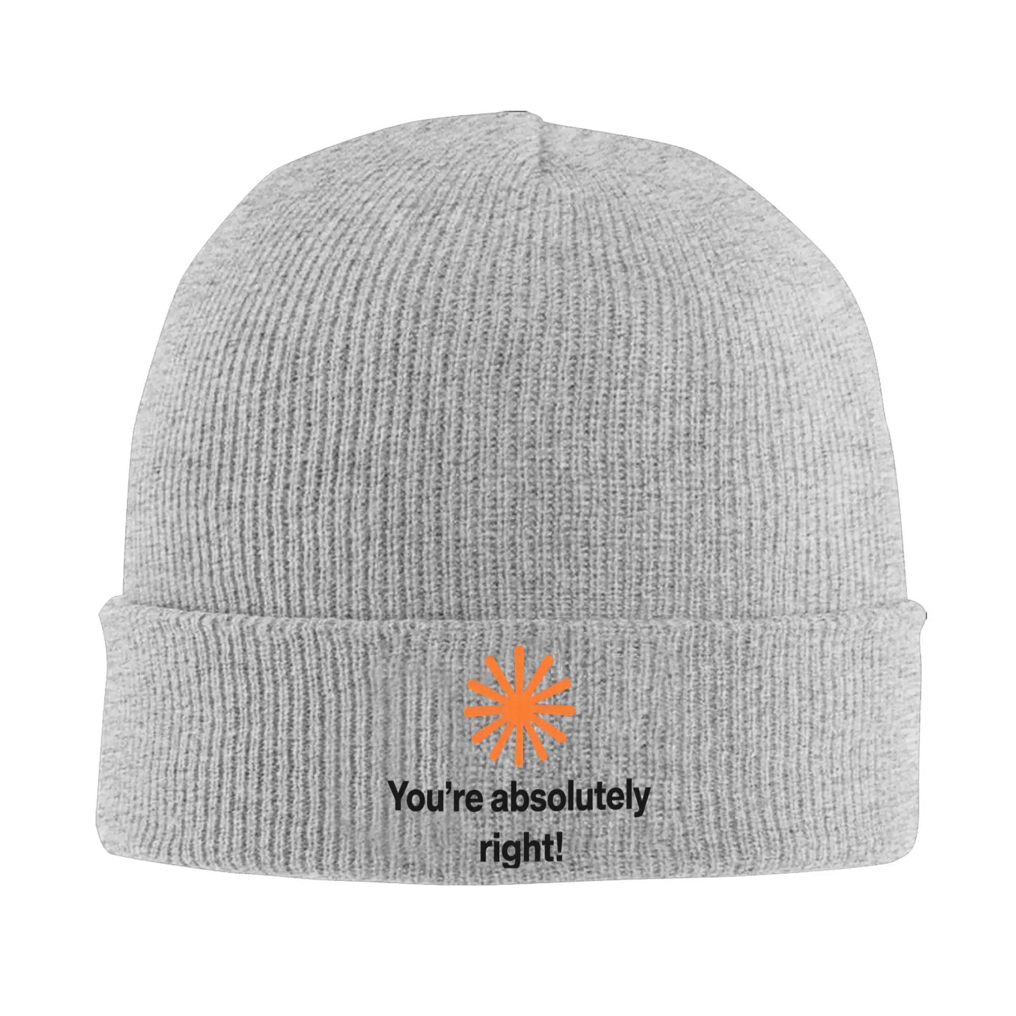 Claude Code You're Absolutely Right  Knitted Hat Beanie Winter Hats Warm Unisex  Casual  Cap Men Women Gift,