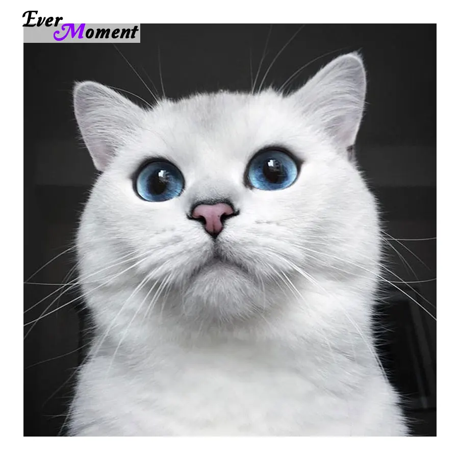 

Diamond Embroidery Cats DIY 5D Ever Moment Diamond Mosaic Kit Painting Full Square Round Stones Hobby Craft Needlework ASF601