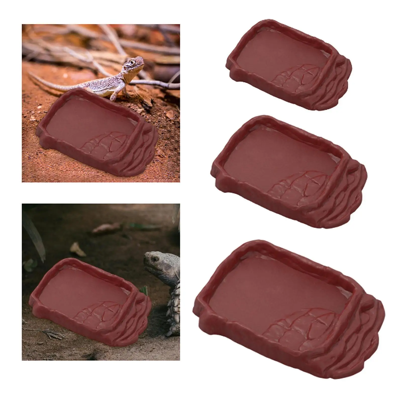 Reptile Ramp Food Bowl Habitat Feeder for Scorpion Terrarium Decor