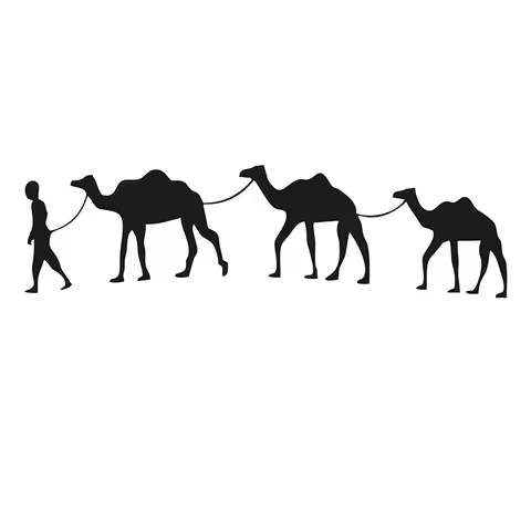 funny Camel Caravan car sticker waterproof car decal vinyl stickers on car truck bumper rear window laptop