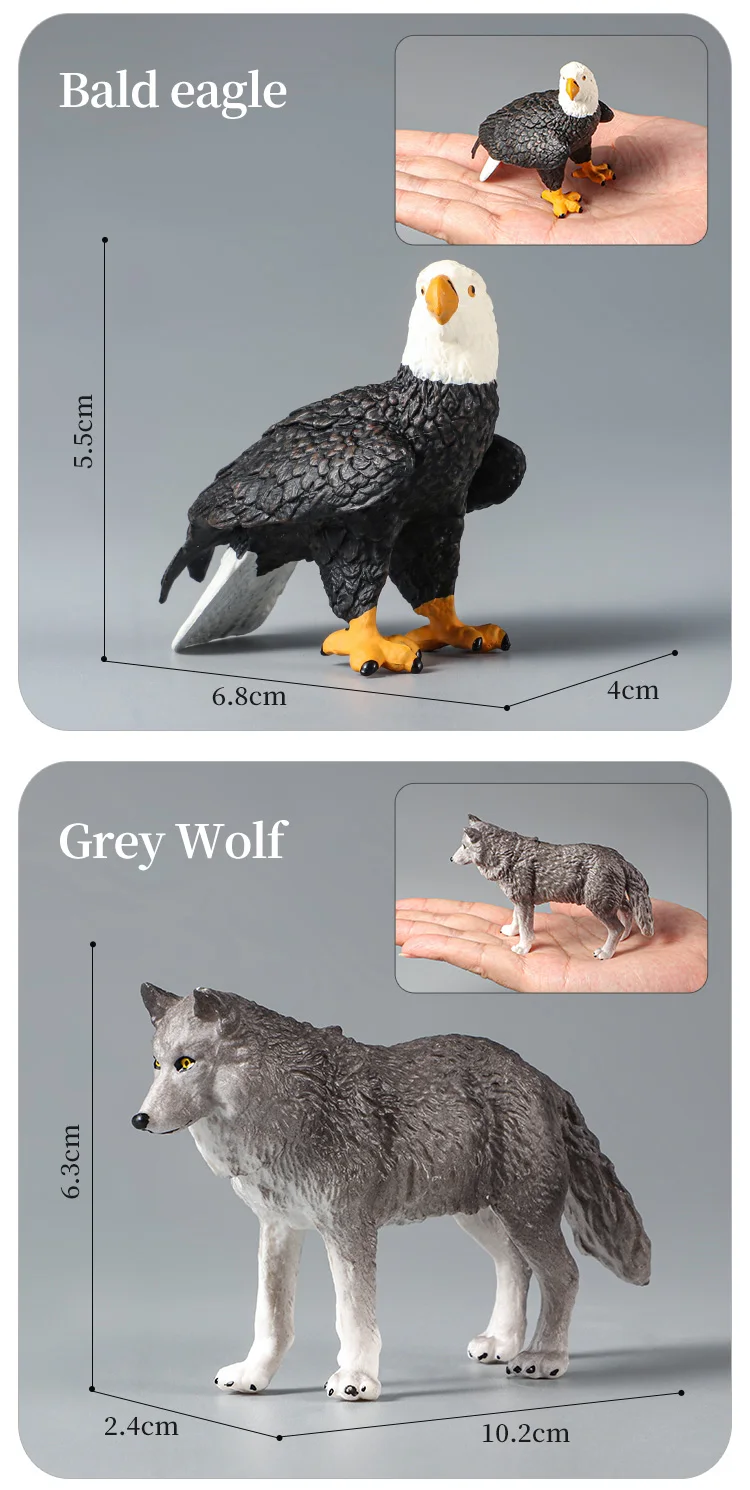 Montessori Wildtiere Modell Spielzeug Set – Löwe Elefant Antilope Actionfiguren Miniatur Zoo Figuren Pädagogisches Geschenk für Kinder – Detail 8