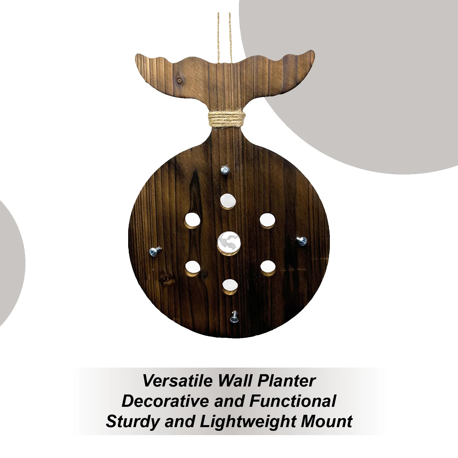 

Staghorn Wall Mount Staghorn Fern Planting Board Wall Holder Space Saving Garden Home Decor For Dorm Bedroom Offices Porch