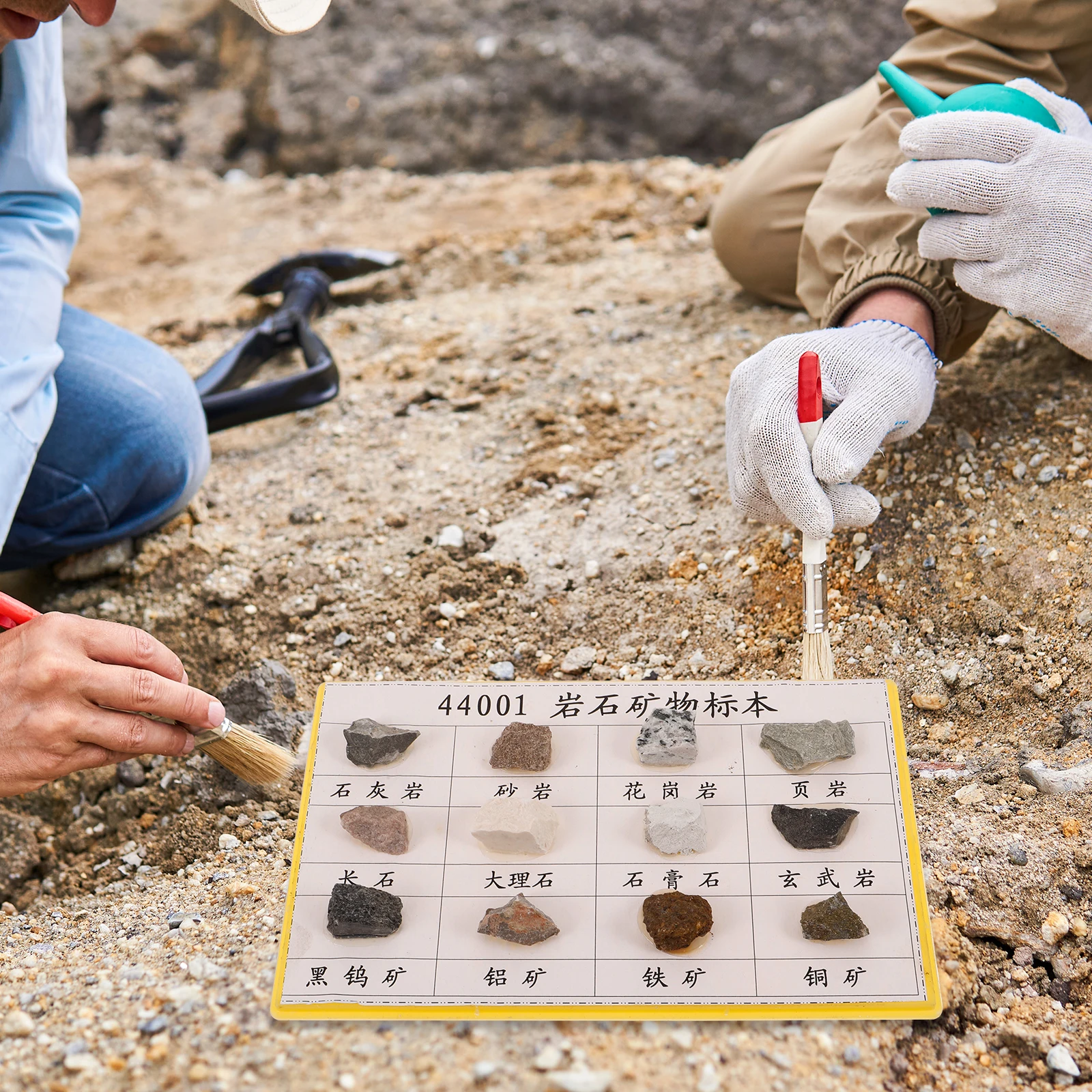 عينات الصخور المعدنية والمعادن والصخور تجربة بيولوجية للمدارس الابتدائية والثانوية عرض بلاستيكي