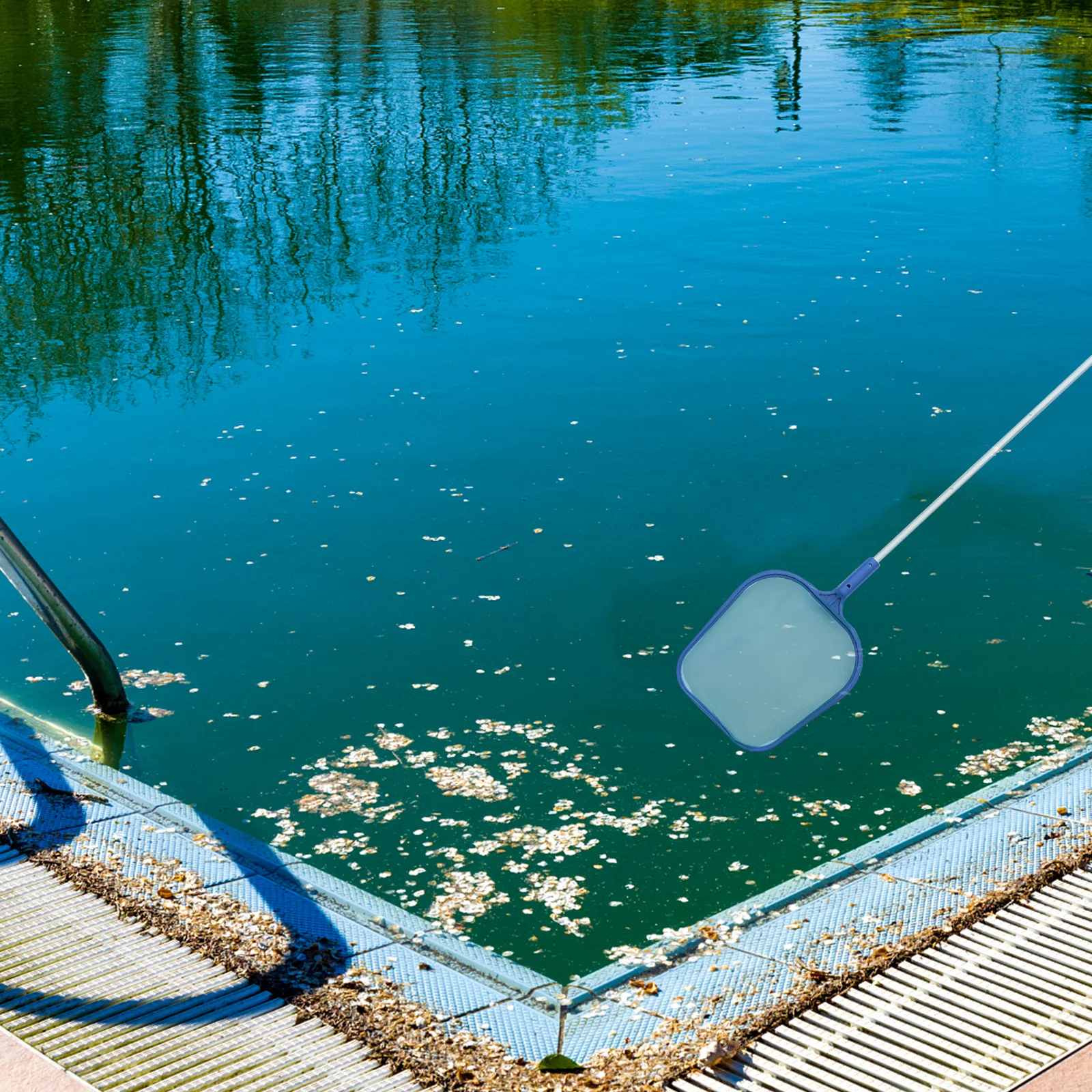 مجموعة واحدة من شبكة تنظيف حمام السباحة باللون الأزرق خفيفة الوزن ومتينة لحمام السباحة وأداة مغرفة حطام نافورة حوض السباحة الساخن