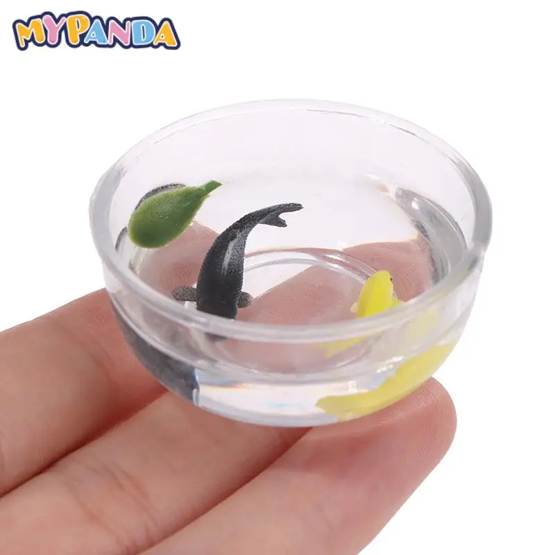 Mini Fish Tank DIY Resin Charms Tools Transparent Goldfish Tanks Handmade Jewelry Pendant Miniature Decor Stuff Plastic