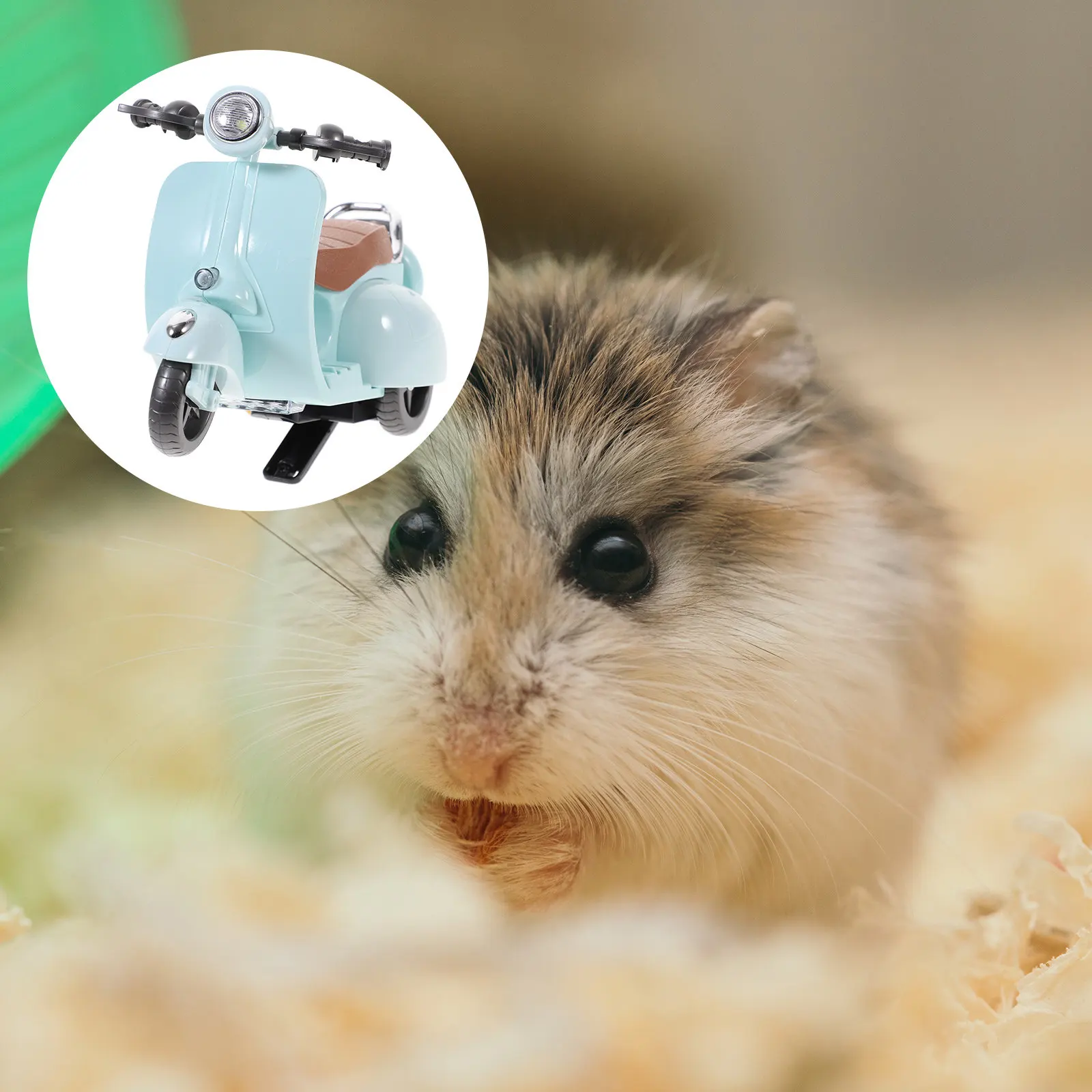 

Музыкальная игрушка-мотоцикл для хомяков, вращающаяся, легкая, пластиковая, для развлечения питомцев, украшение для клетки, для маленьких животных, снятия стресса