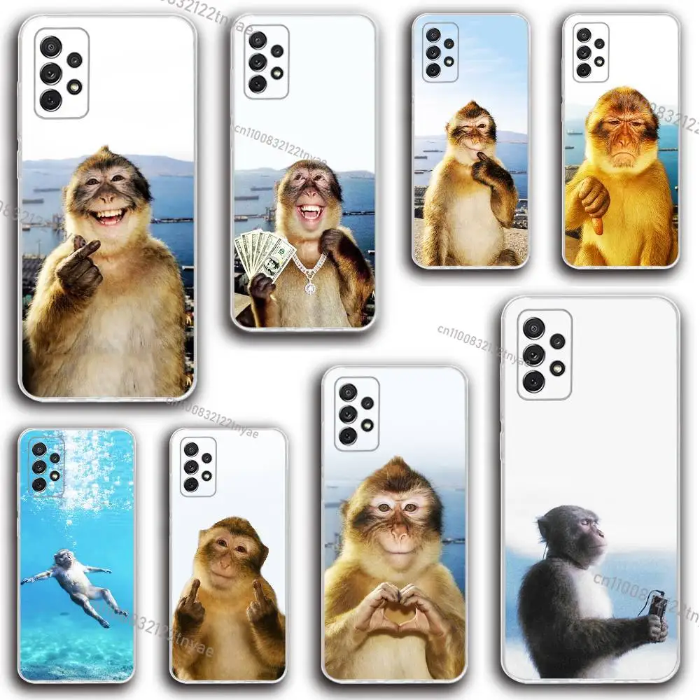 

New Creative Monkey Pattern Phone Case Silicone For Samsung S30,23,21,22,20 FE lite,S10,9,PIus Note20ultra Soft Transparent