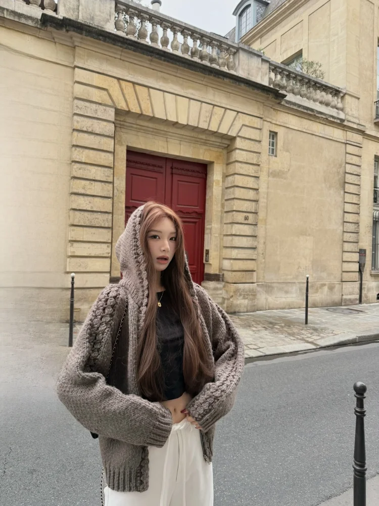 

Handmade Knitted Open Cardigan Women's Winter Loose Heavy Design Hat Hook Flower Casual Sle Long Sve Warm Outerwear