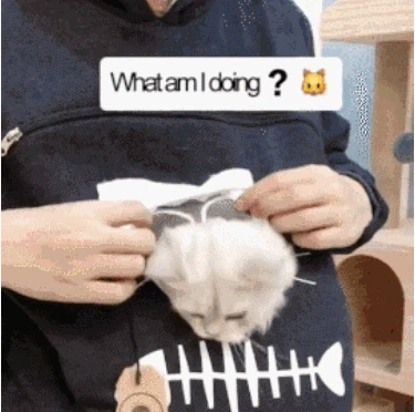 Animal Pouch Hood Tops Sweatshirt Amazing Cat Hoodie Cats Travel Sweater Animal Hooded Pocket Couple Sweatshirt Drop Shipping