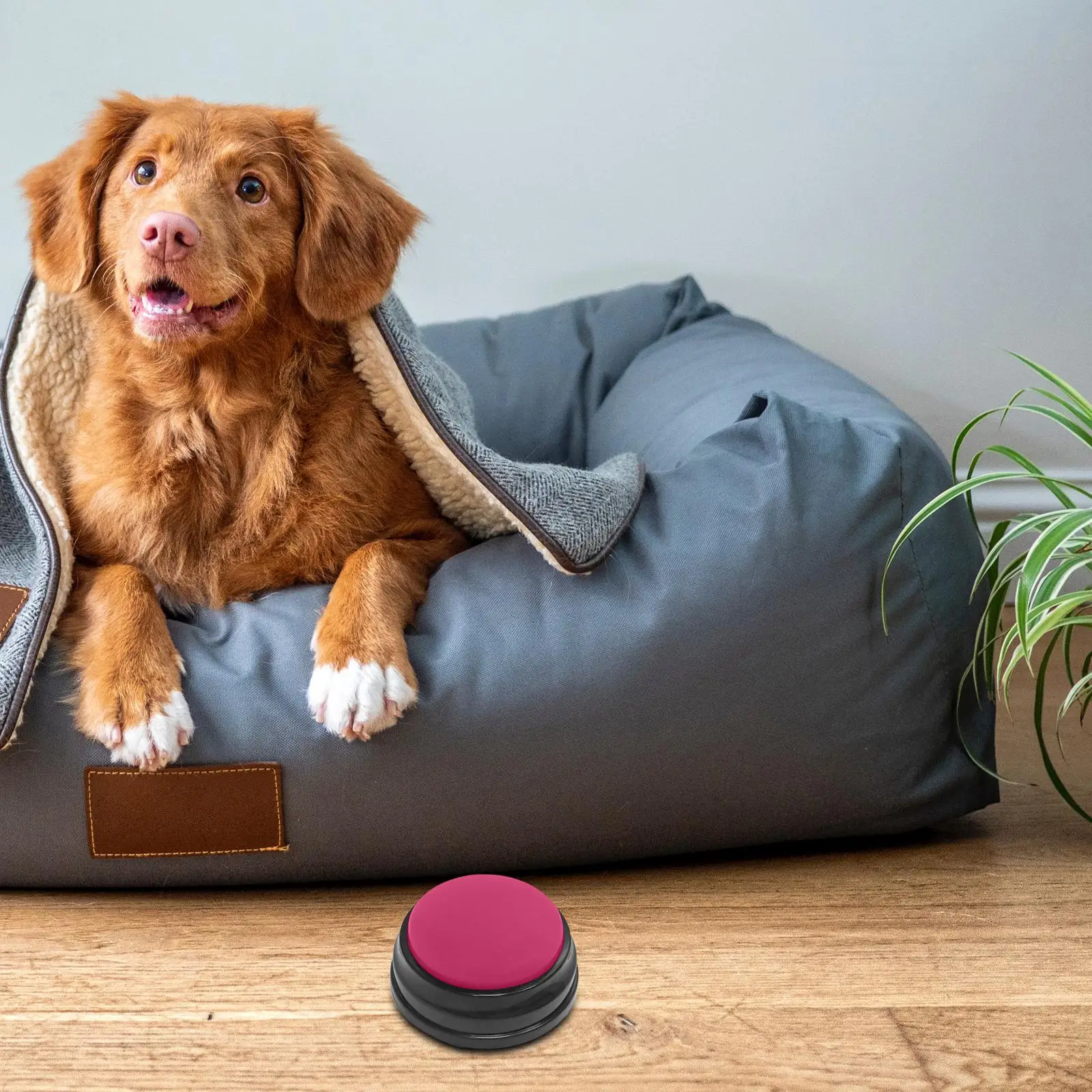 犬や猫などのペット用の録音可能なボタン。音声トレーニング用おもちゃ、言語療法教材、子供向けのコミュニケーション学習ツール。